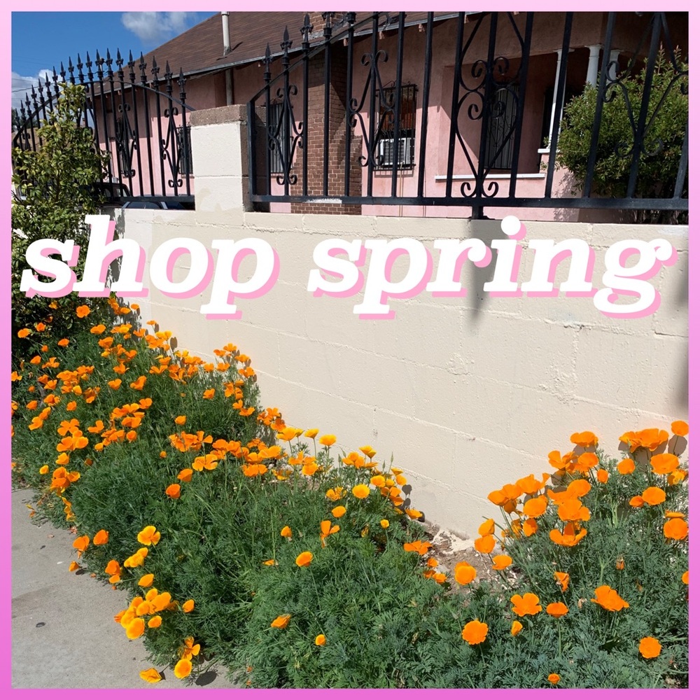 happy spring gleaning 🌼